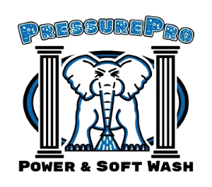 PressurePro Power & Soft Wash Logo