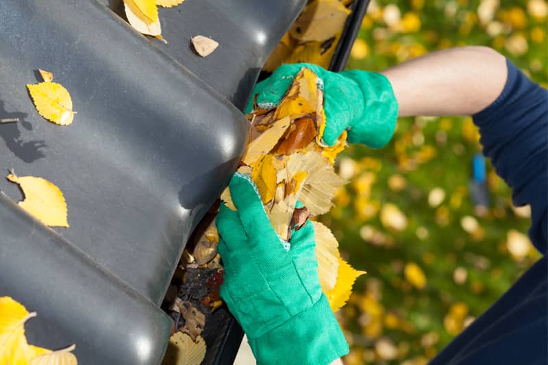 hawthorne-gutter-cleaning